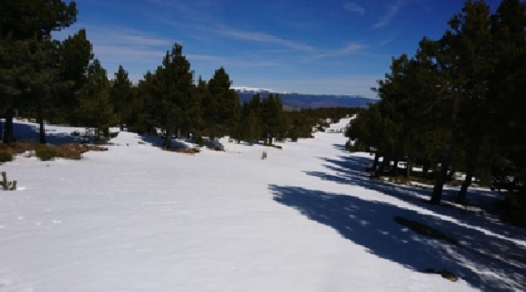 cerro-genciana_1
