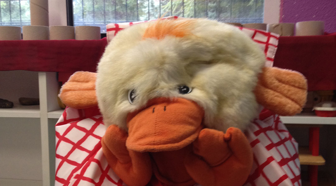 Who is Chicky?