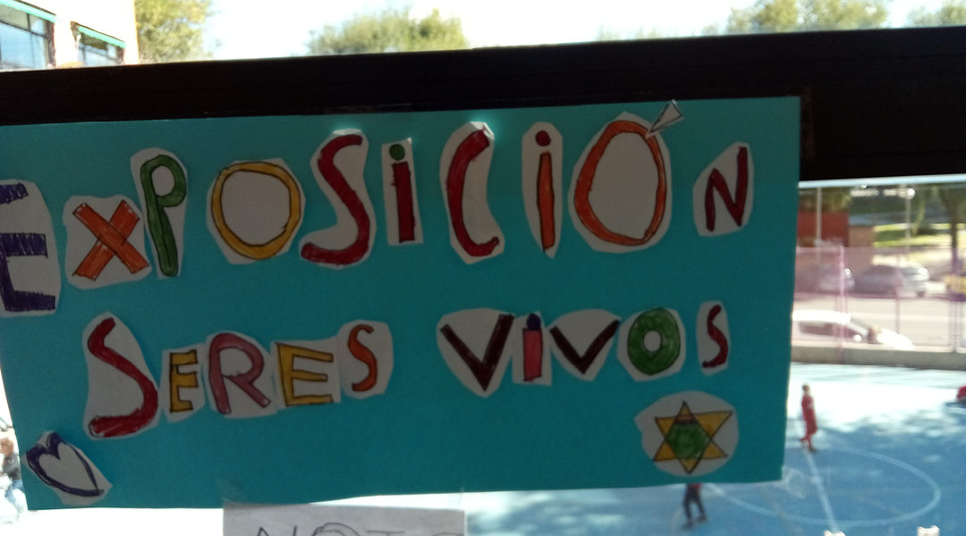 Exposiciones en 1º
