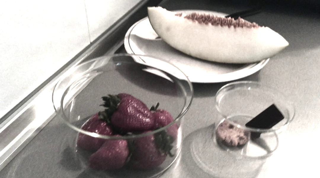 A fruit shake recipe
