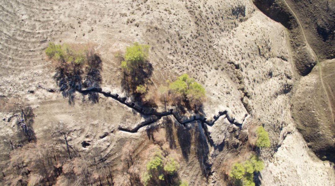 Excursión a las trincheras del Jarama y Parque Regional del Sureste