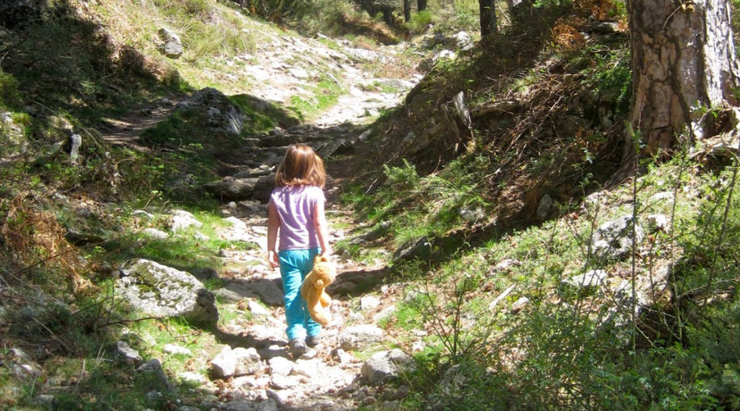 Excursión al puerto de la Fuenfría. Un clásico de la montaña madrileña