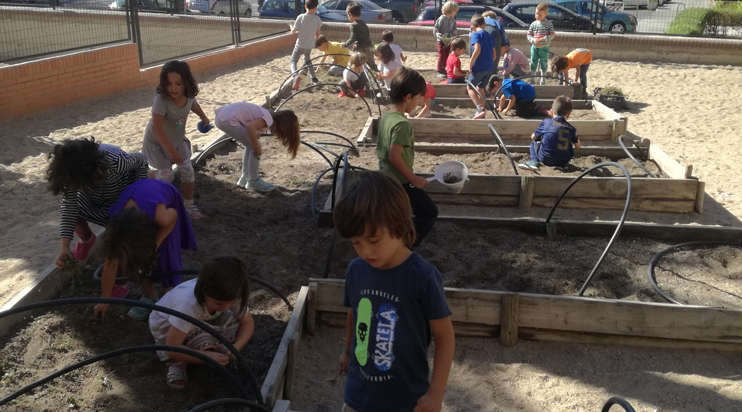 El huerto de infantil