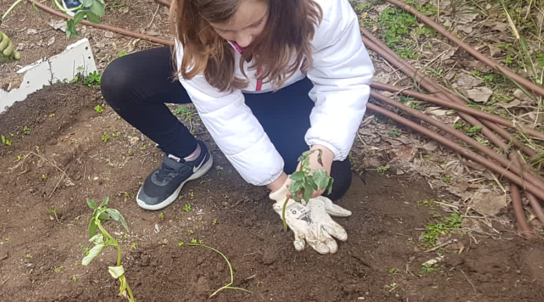 Somos agricultores senior