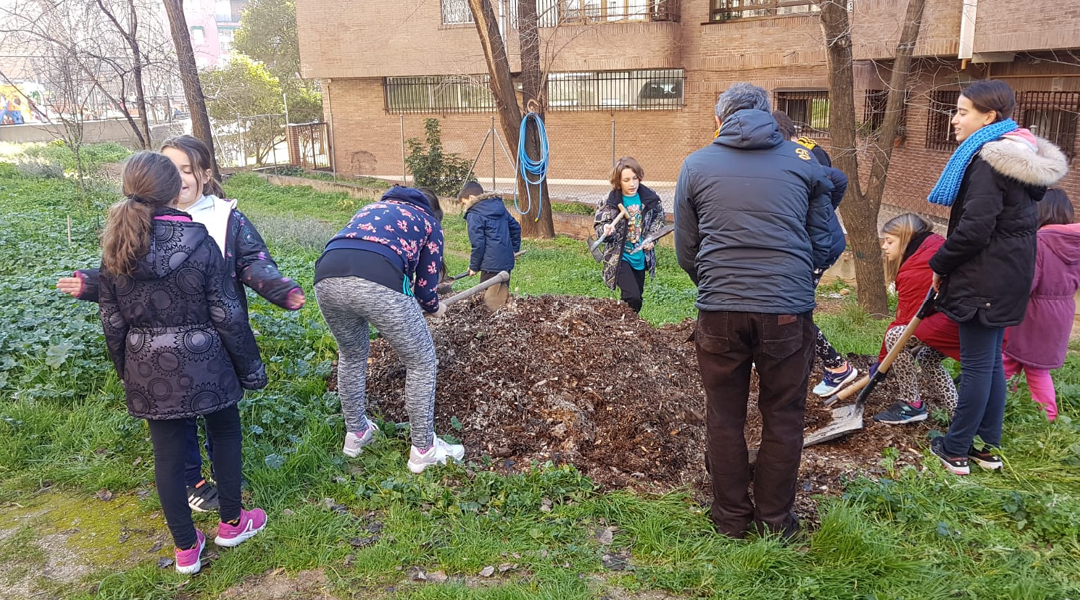 Volvemos a nuestro huerto
