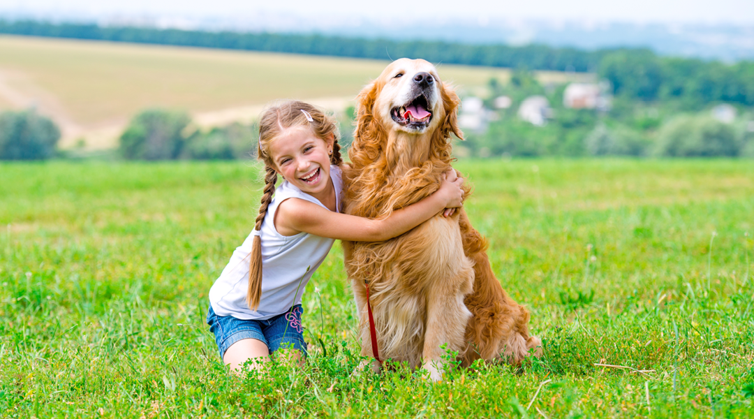 Animal lovers