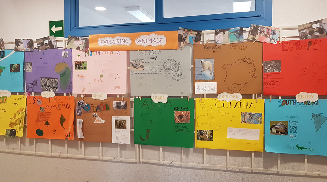 Exploring animals