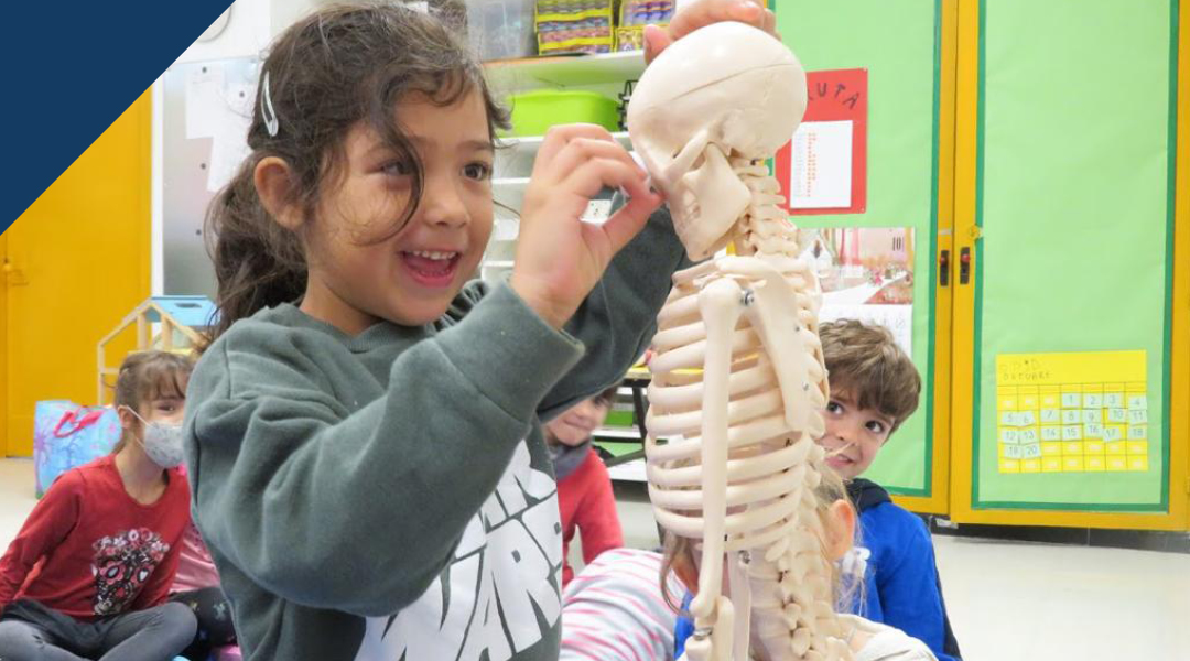 Descubriendo el cuerpo humano