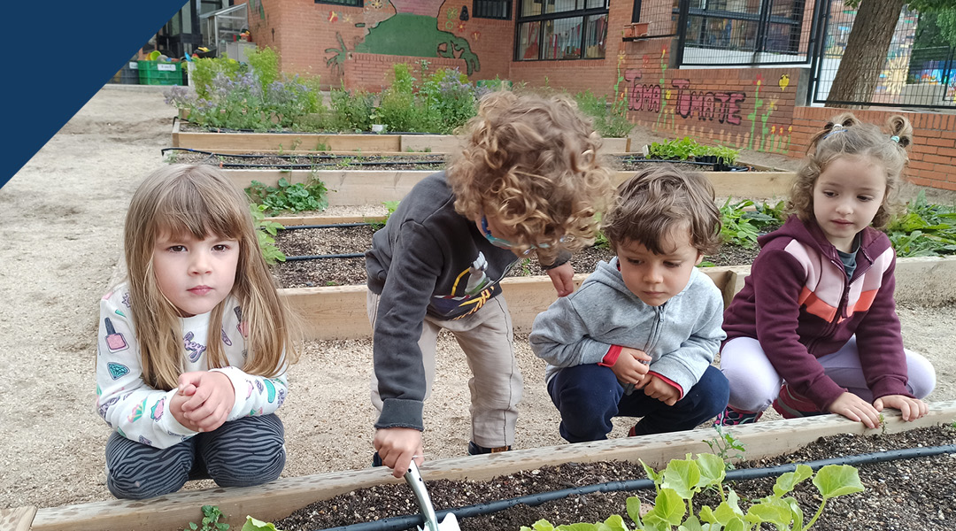 ¡Ya llegó la planta de primavera al huerto!