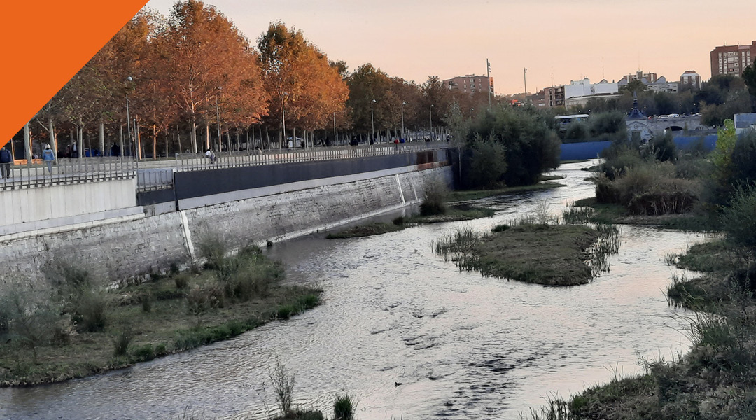 Educación medioambiental: Biodiversidad en Madrid Río