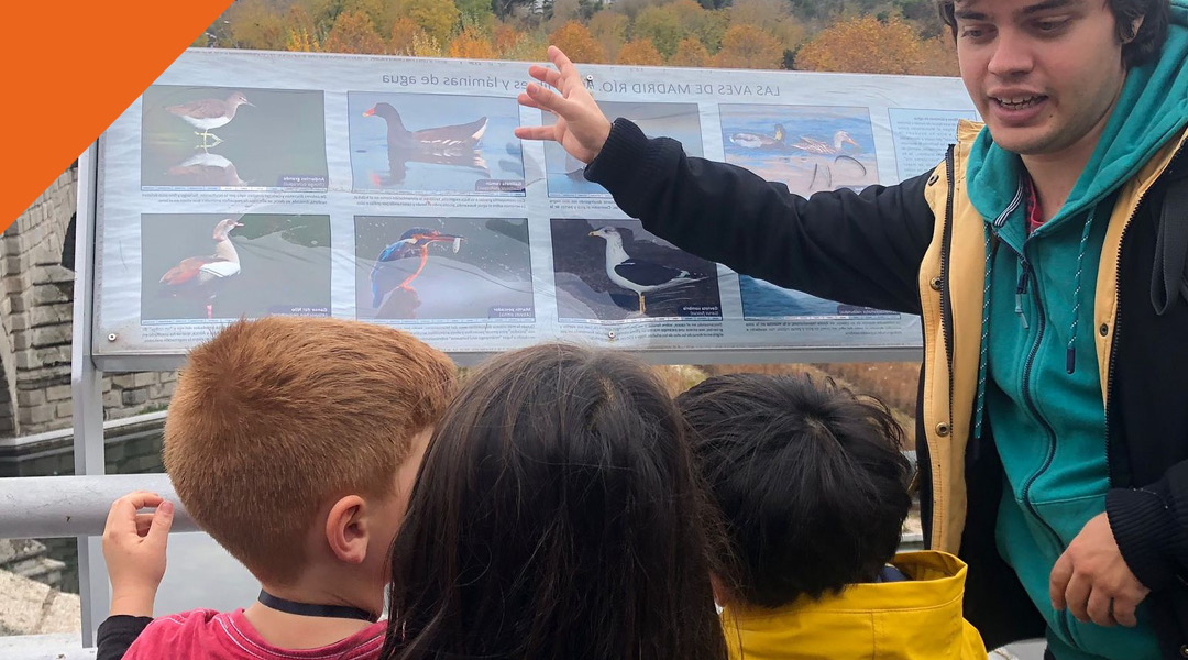 Taller de Educación medioambiental: Biodiversidad en Madrid Río