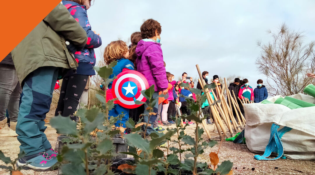 Reforestar es un súper poder