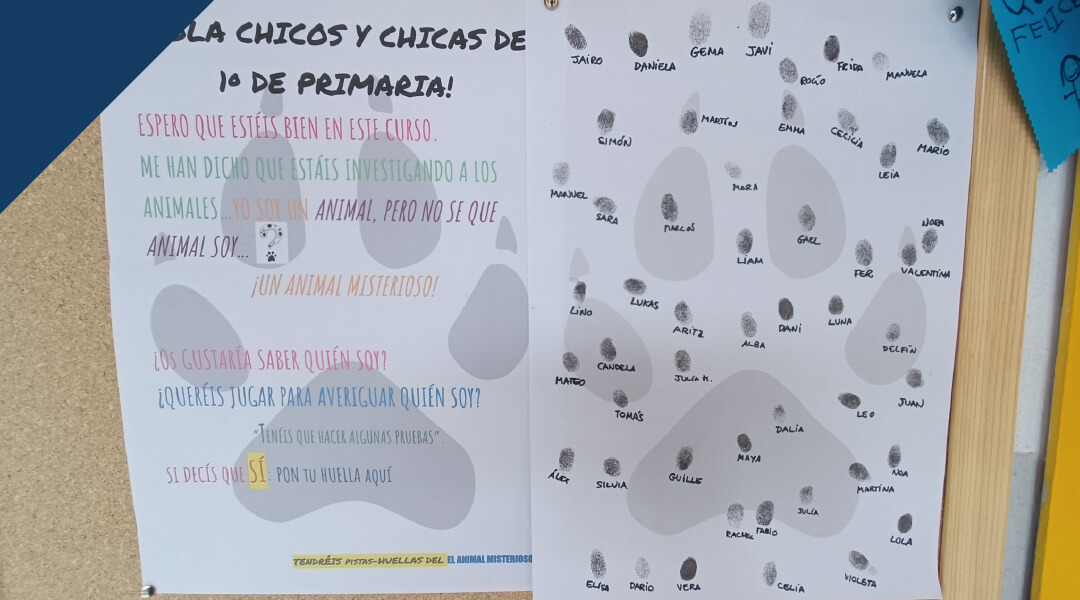 Tras la pista del animal misterioso