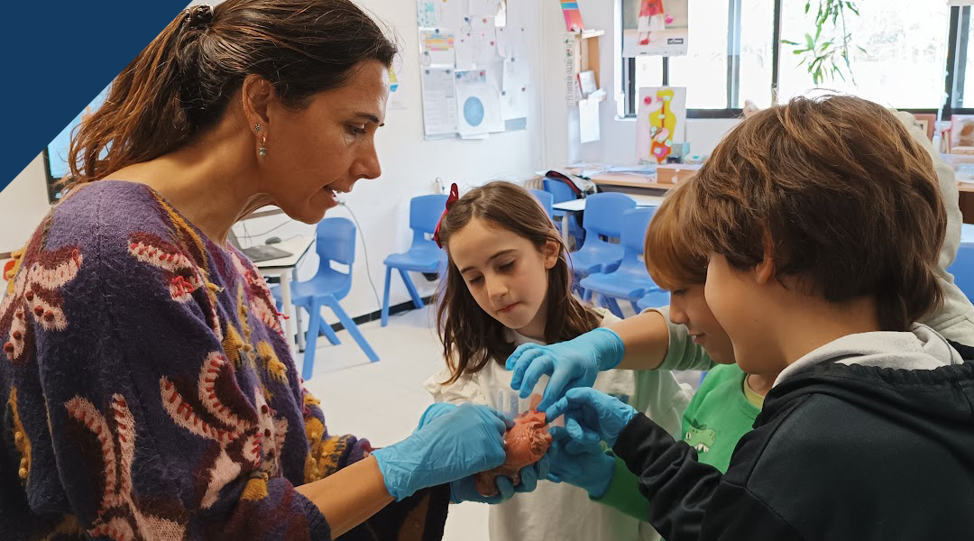 Monográficos del cuerpo humano en 4º de Primaria