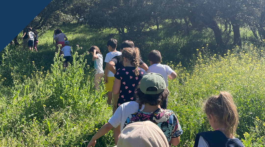 Unos días en la granja