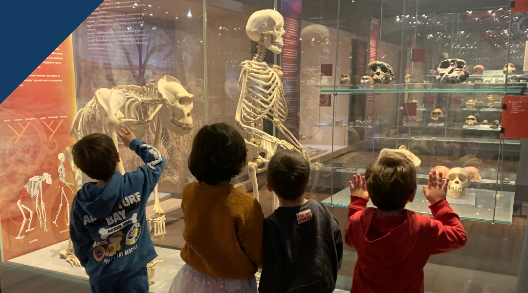 Una mañana en el Museo de Ciencias Naturales