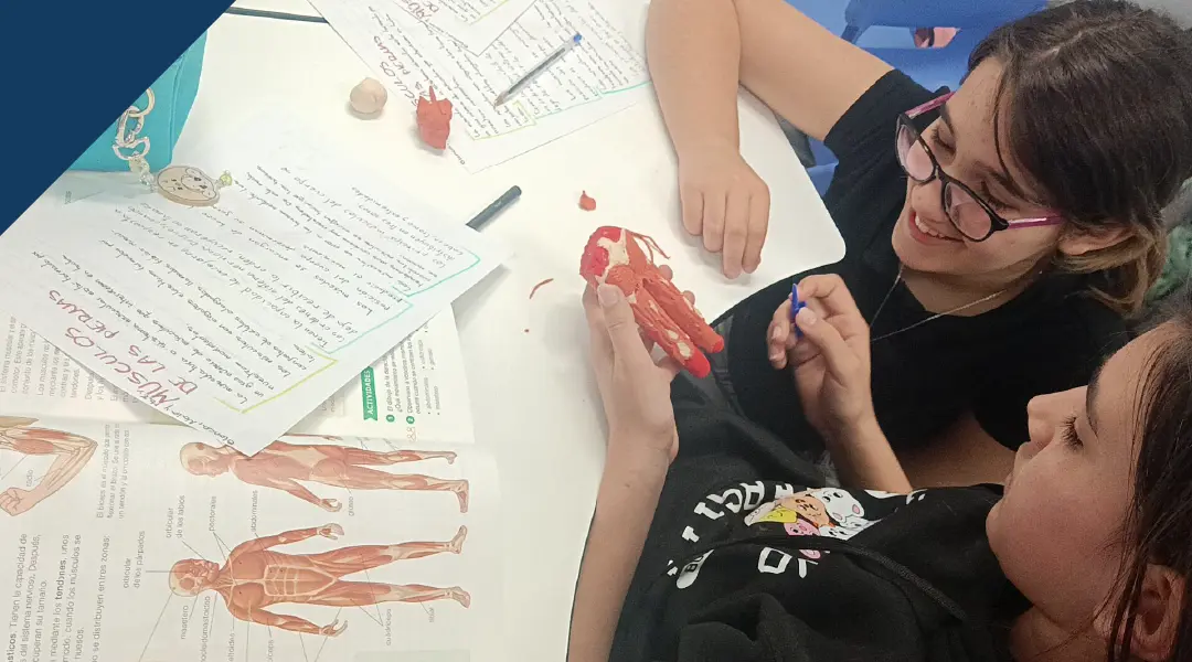 Función de relación. Creación de Maquetas
